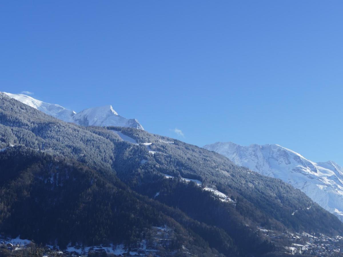 Chalet Coup De Coeur 帕西 外观 照片